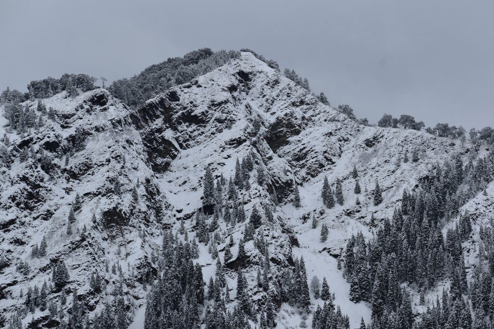 Snow View Point
