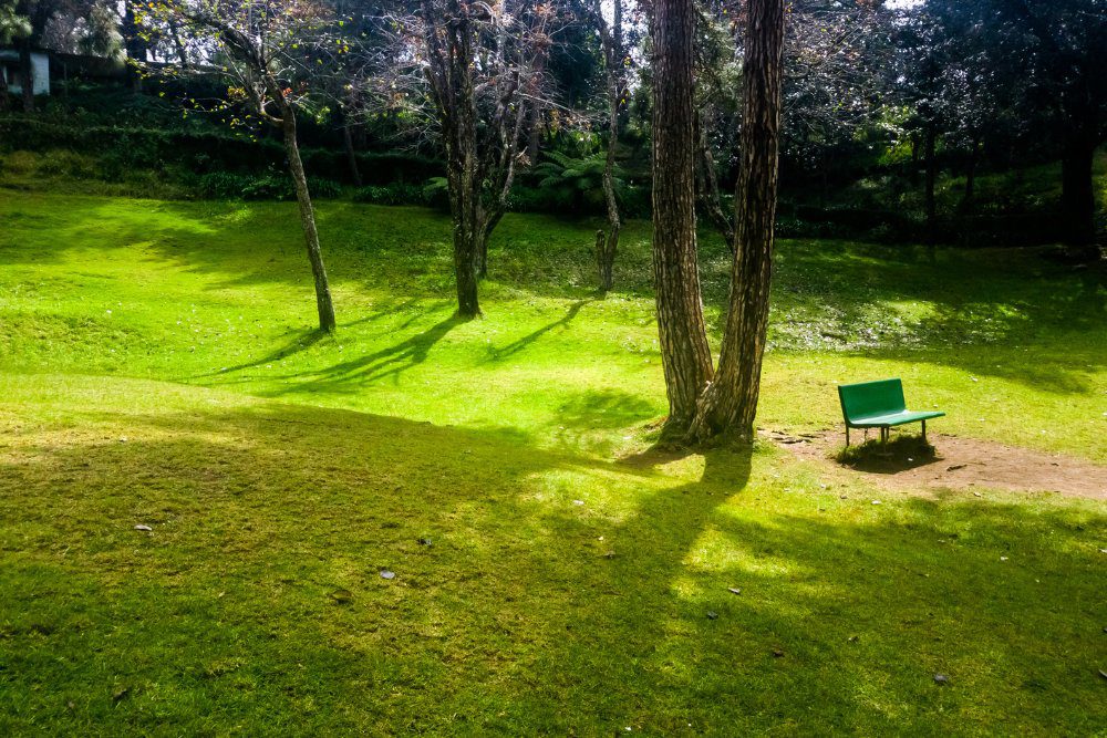 Bryant Park kodaikanal