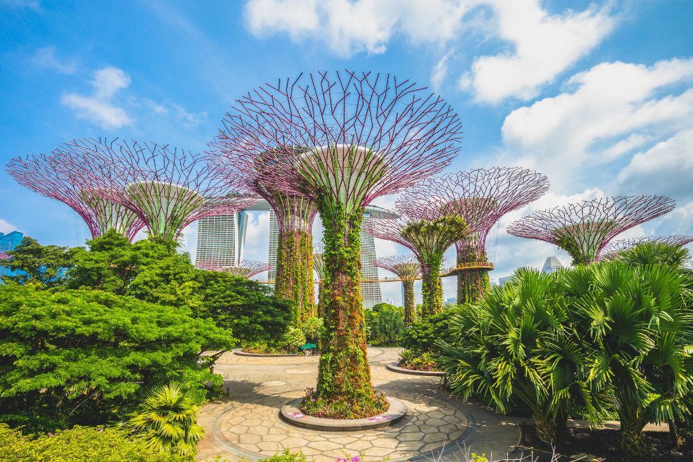 Gardens by the Bay, Singapore