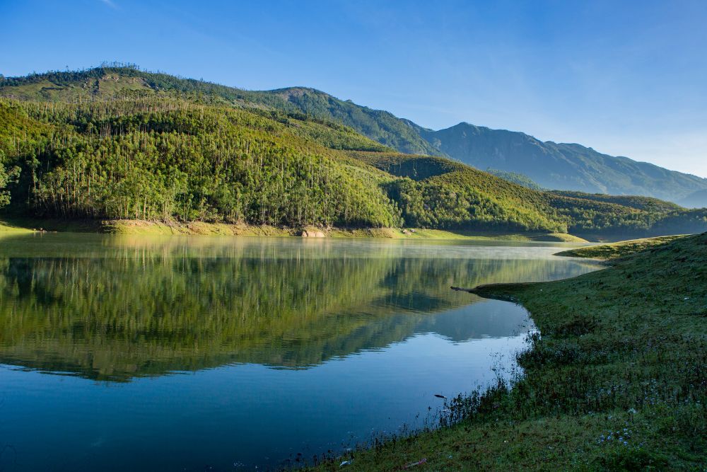 Mattupetty dam munnar