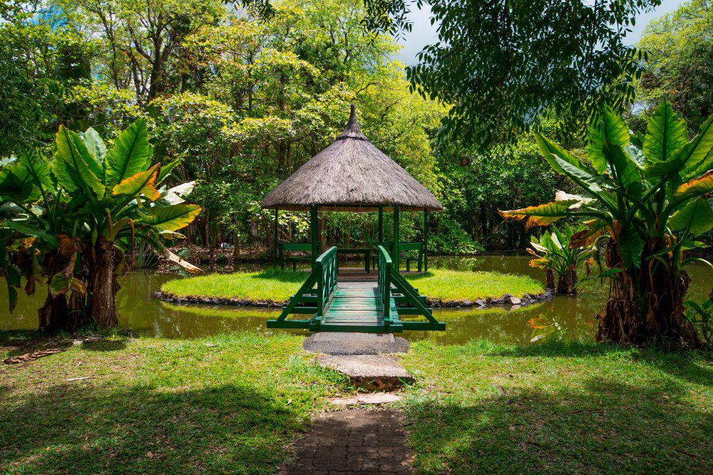 Pamplemousses Botanical Garden