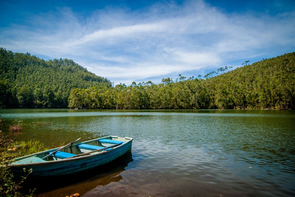 echo point munnar