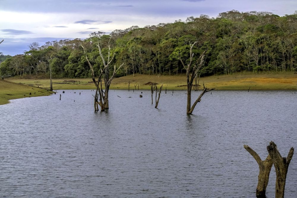 periyar lake thekkadi