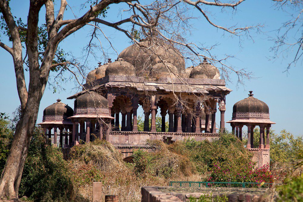 ranthambore