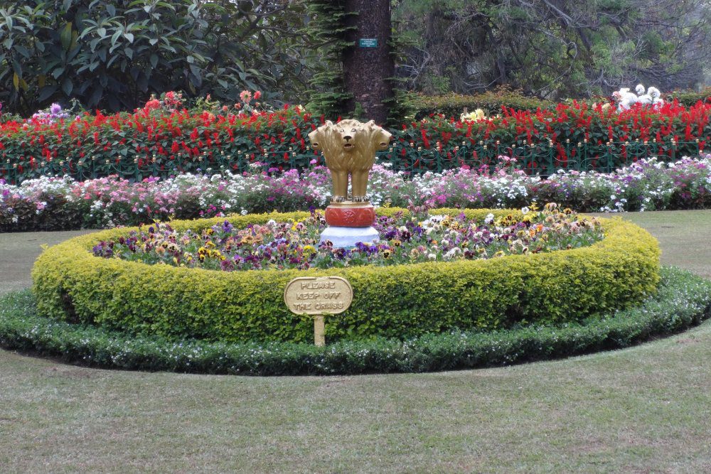 rose garden ooty
