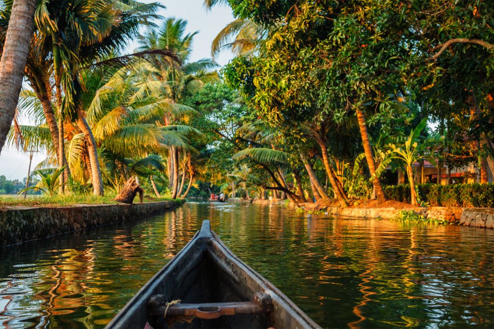 Best Time to Visit in Kerala