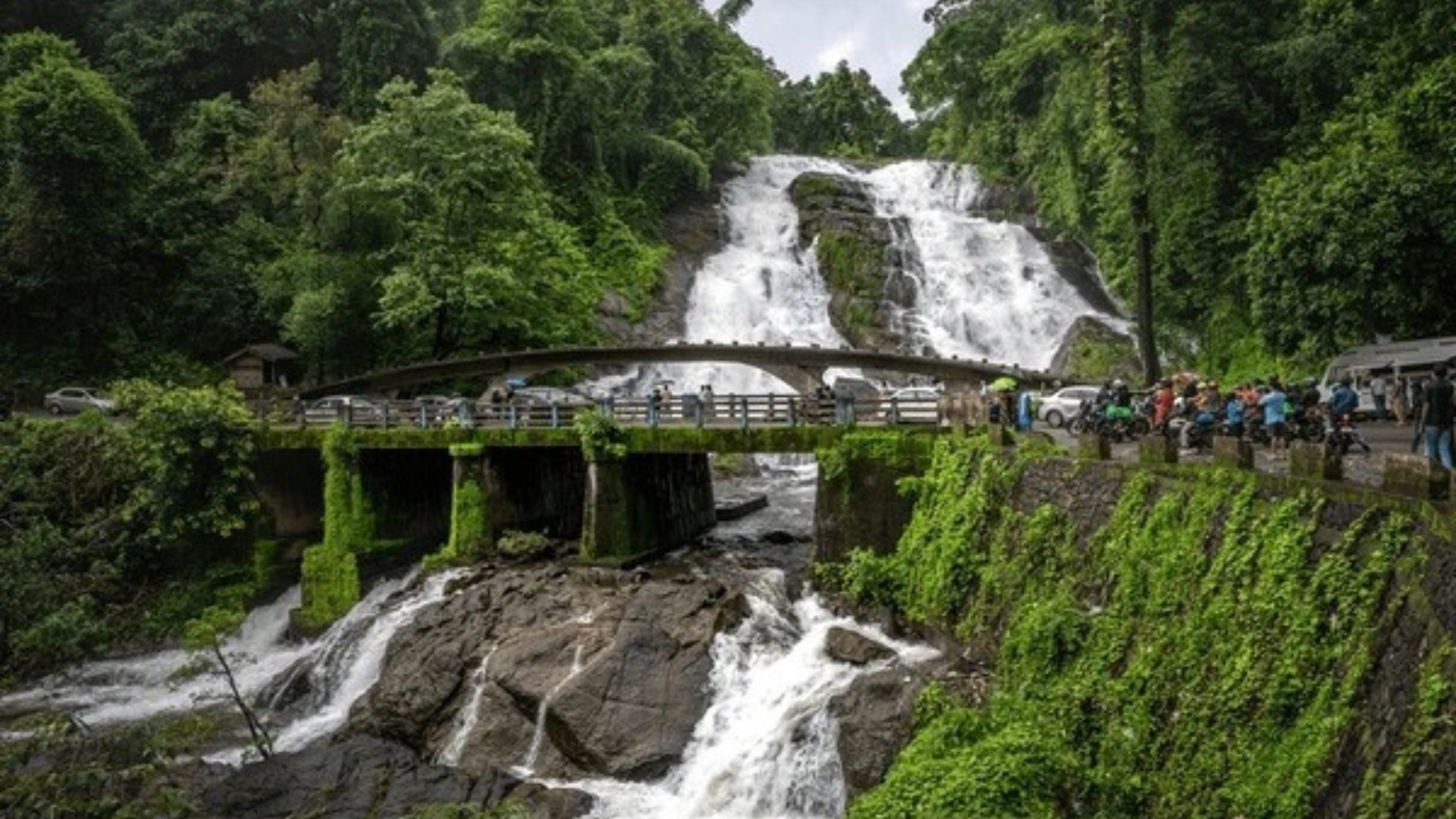Read more about the article 15 Waterfalls in India You Must Visit Before 2025 Ends